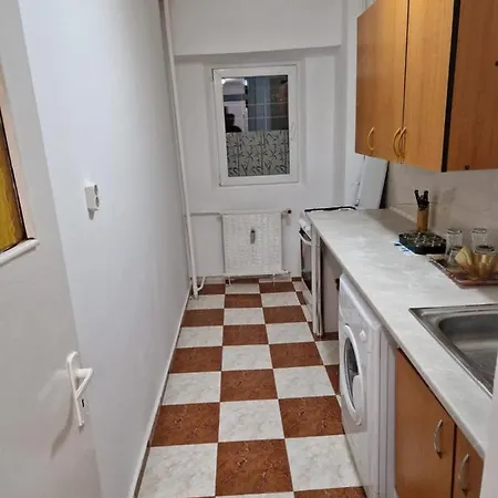 Zizin-vitan Appartement Bucarest